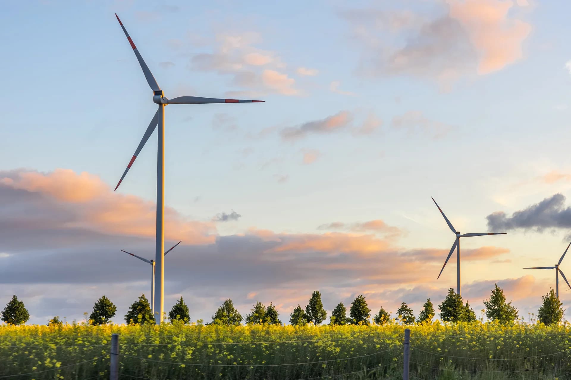 Borusan EnBW Enerji’den Doğa ve Bilim Projesine Destek