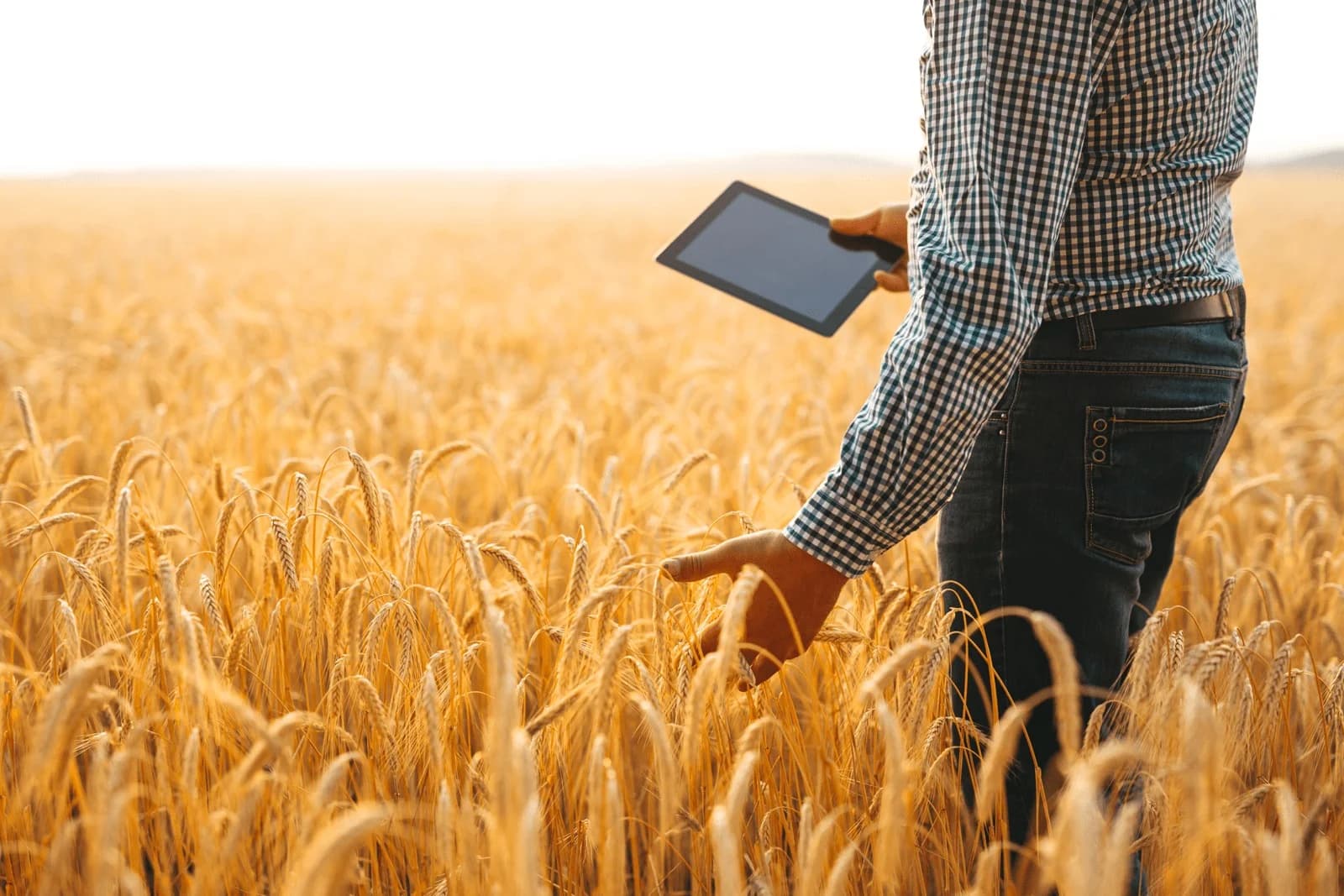Workup Agri’nin 3. Dönemi Başlıyor